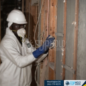 Photo of FDP Mold Remediation - Washington DC