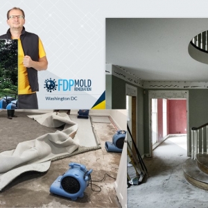 Photo of FDP Mold Remediation - Washington DC