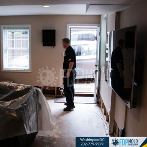 Photo of FDP Mold Remediation - Washington DC