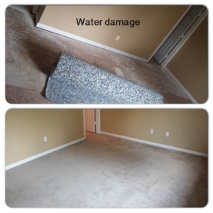 Photo of The Carpet Specialists