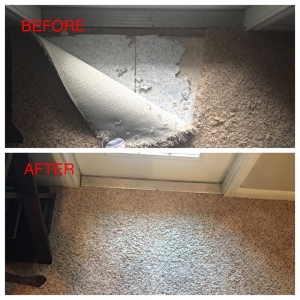 Photo of The Carpet Specialists