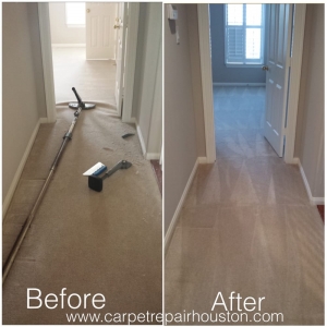 Photo of The Carpet Specialists