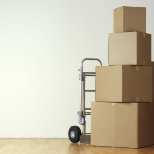 Chicago SAPA Movers