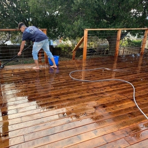 San pablo Jana Franzoi Cleaning