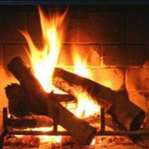 Photo of Pro Chimney Service