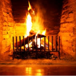Photo of Pro Chimney Service