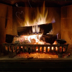 Photo of Pro Chimney Service