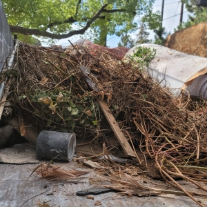 Photo of Antonio's Hauling and Trash Removal