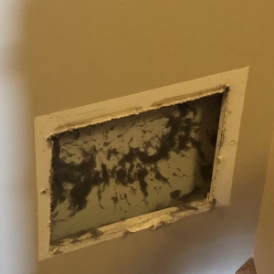 Photo of EM Duct Cleaning