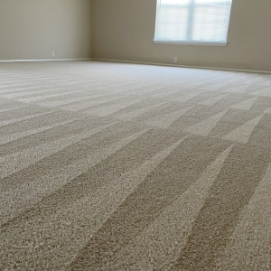 Photo of Beyer Carpet Cleaning