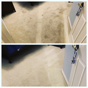 Photo of Beyer Carpet Cleaning