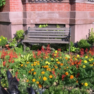 Photo of Sustain Landscape Design