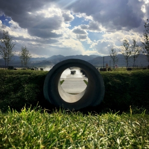 Photo of Loci