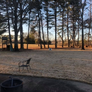 Photo of Dylan Tree Services