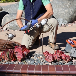 Photo of Morrow Landscaping & Irrigation