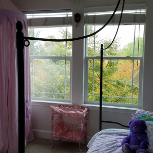 Photo of Clear Reflections Window Cleaning