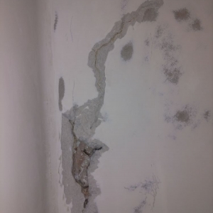 Photo of Diamond Finish & Restoration Service