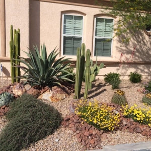 Photo of Jeff's Lawn & Landscaping