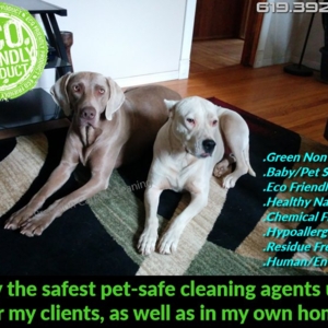 San Diego Precision Green Carpet Cleaning - San Diego