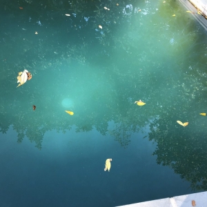 Photo of Pool Service Company