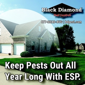 Photo of Black Diamond Termite & Pest Control