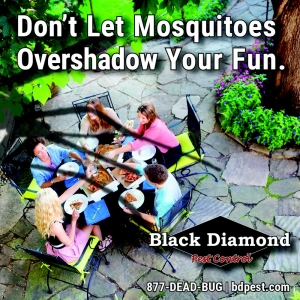 Photo of Black Diamond Termite & Pest Control