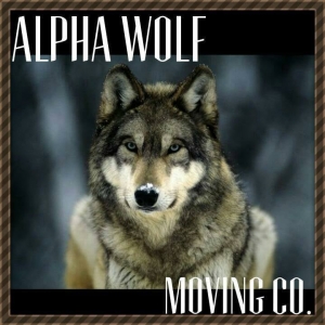 Photo of Alpha Wolf Moving