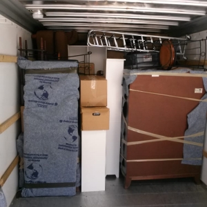 Photo of Alpha Wolf Moving