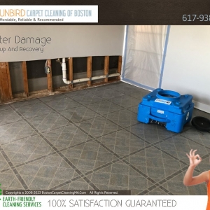Photo of Sunbird Carpet Cleaning of Boston