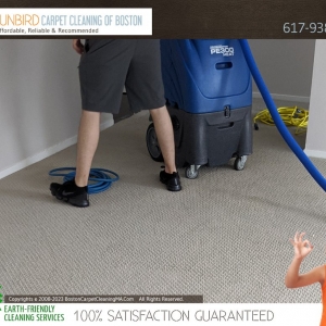 Photo of Sunbird Carpet Cleaning of Boston