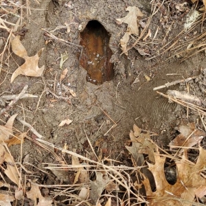 Photo of Kings Plumbing