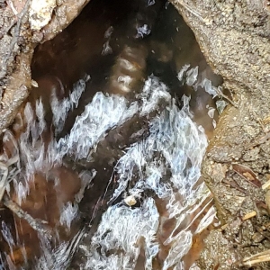 Photo of Kings Plumbing