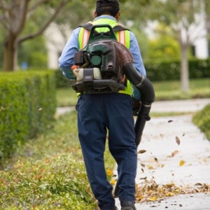 San Francisco Orchids Gardening & Landscaping Services