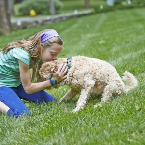 Photo of DogWatch of Southeast Indiana