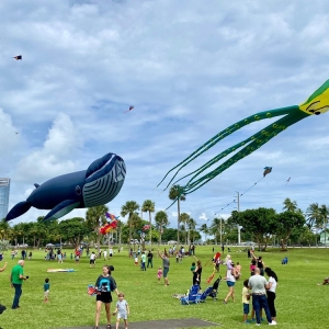 Photo of Skyward Kites