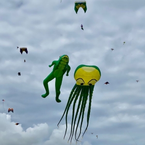 Photo of Skyward Kites