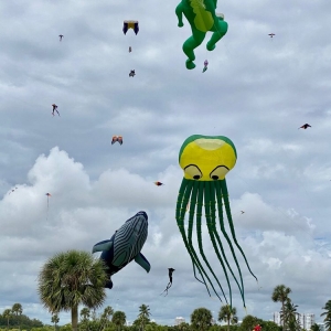 Photo of Skyward Kites