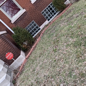 Photo of Glass Blocks of St. Louis