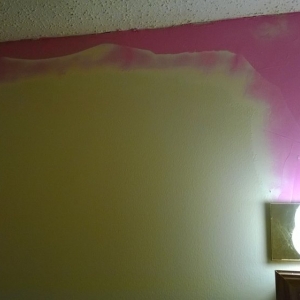 Basehor MTC Painting & Wallpapering