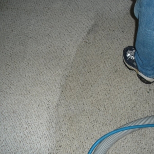 Photo of BMF CARPET CLEANING