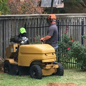 Southlake Arbor-Tech Tree Service