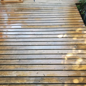 Photo of 1 Pro Power Washing Services
