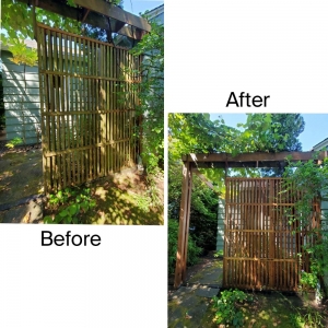 Photo of 1 Pro Power Washing Services