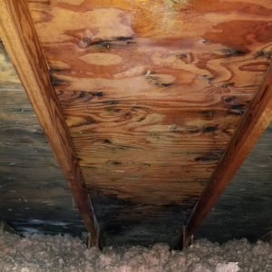 Photo of Remedial-Solutions