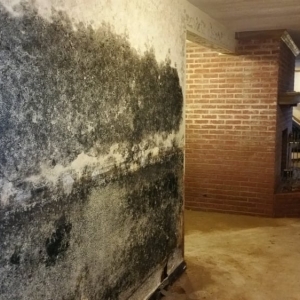Photo of Remedial-Solutions