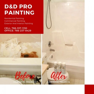 Photo of D&D Pro Painting