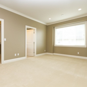 Photo of Agape Carpet Color Restoration