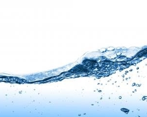 Photo of Carolina Pipe Cleaning