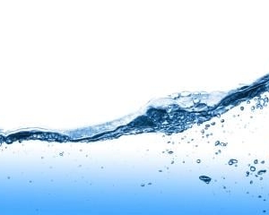 Photo of Carolina Pipe Cleaning