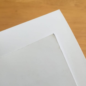 Photo of Copypilot